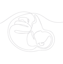 gynécologie obstétrique
