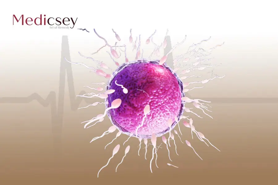 Traitement de l'infertilité